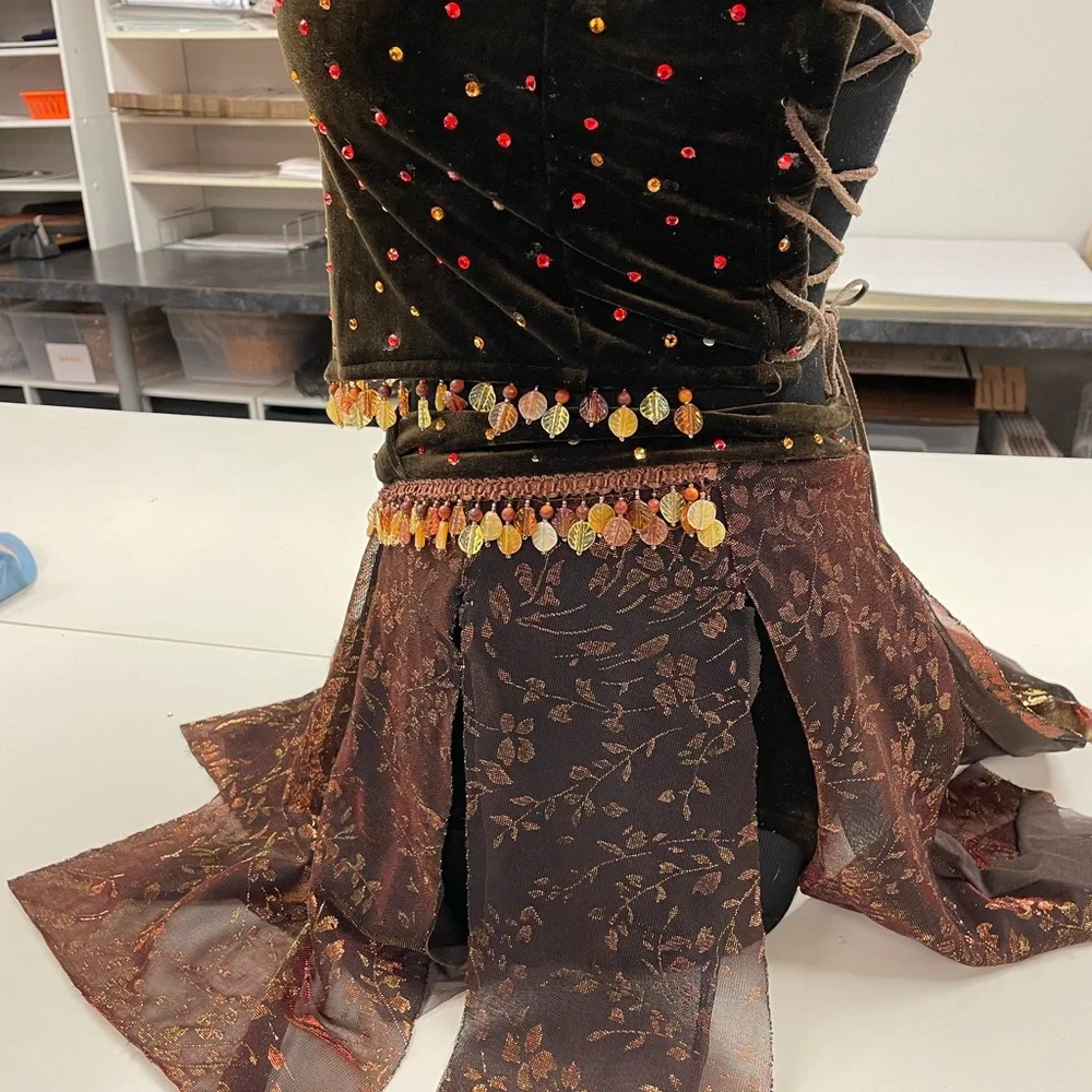 The line up brown velour dance costume rhinestones. Beaded trim.